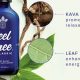 Unlock "Feel Free": Best Herbal Supplements for Calm | The Ultimate Herbal Remedies Guide: Natural Healing for a Healthier Life