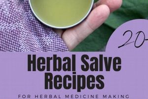 Easy Herbal Salve Recipes: Your Guide to Natural Skin Care The Ultimate Herbal Remedies Guide: Natural Healing for a Healthier Life Easy Herbal Salve Recipes: Your Guide to Natural Skin Care | The Ultimate Herbal Remedies Guide: Natural Healing for a Healthier Life