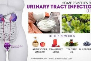 Natural Herbal Remedies for UTI Relief & Prevention The Ultimate Herbal Remedies Guide: Natural Healing for a Healthier Life Natural Herbal Remedies for UTI Relief & Prevention | The Ultimate Herbal Remedies Guide: Natural Healing for a Healthier Life