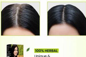 Best Herbal Dye for Grey Hair: Naturally Beautiful Hair The Ultimate Herbal Remedies Guide: Natural Healing for a Healthier Life Best Herbal Dye for Grey Hair: Naturally Beautiful Hair | The Ultimate Herbal Remedies Guide: Natural Healing for a Healthier Life