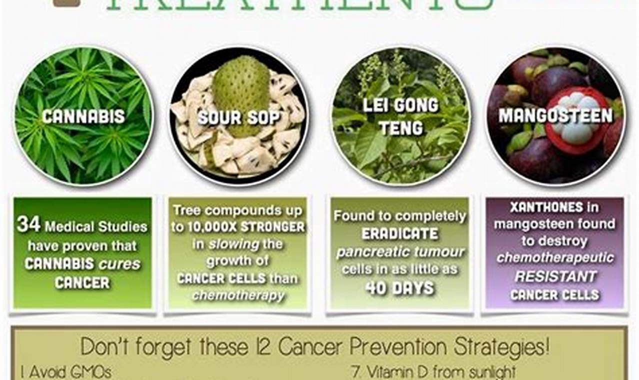 Natural Herbal Remedies for Cancer Support & Relief The Ultimate Herbal Remedies Guide: Natural Healing for a Healthier Life Natural Herbal Remedies for Cancer Support & Relief | The Ultimate Herbal Remedies Guide: Natural Healing for a Healthier Life
