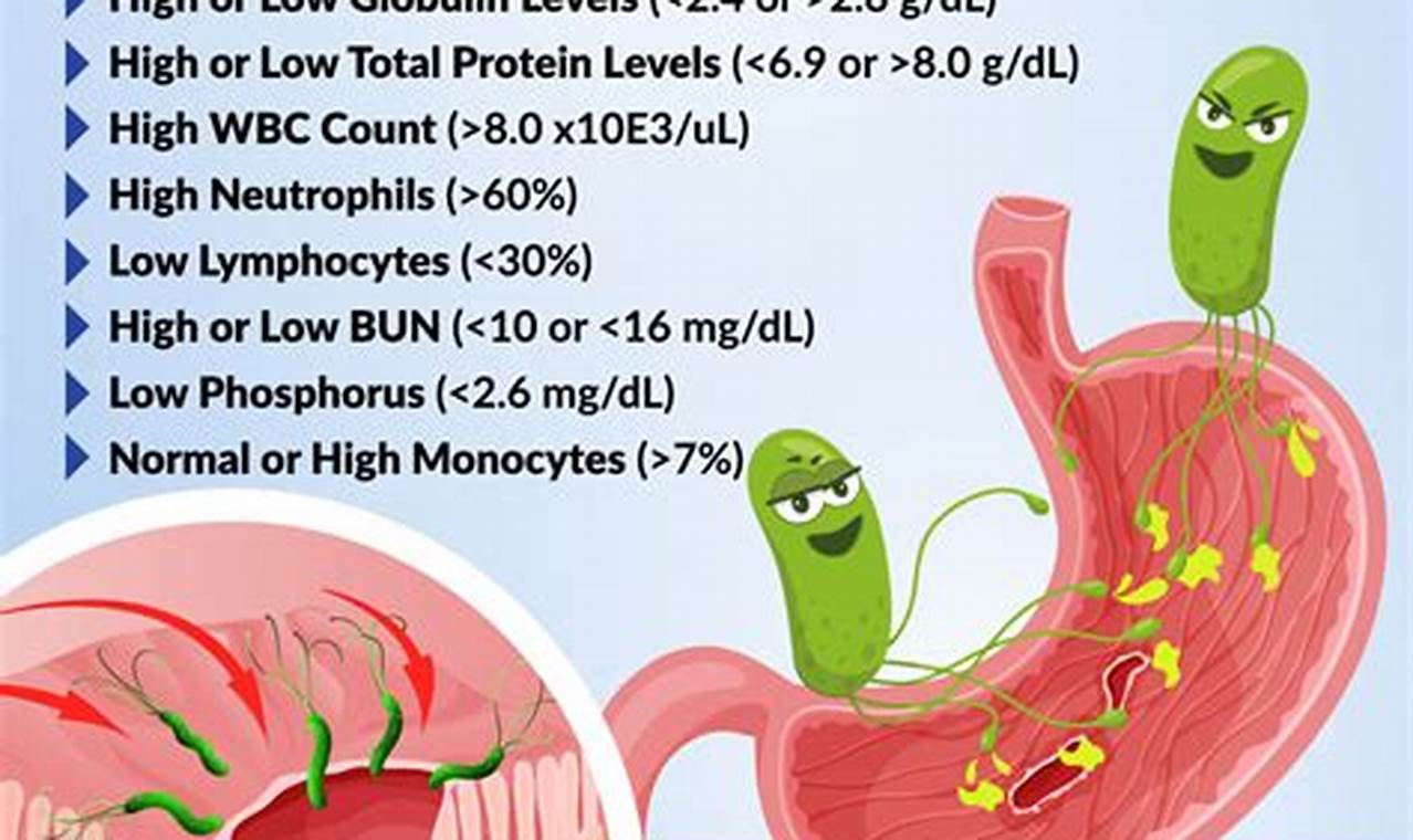 Quick H Pylori Relief: 3-Day Herbal Treatment Plan The Ultimate Herbal Remedies Guide: Natural Healing for a Healthier Life Quick H Pylori Relief: 3-Day Herbal Treatment Plan | The Ultimate Herbal Remedies Guide: Natural Healing for a Healthier Life
