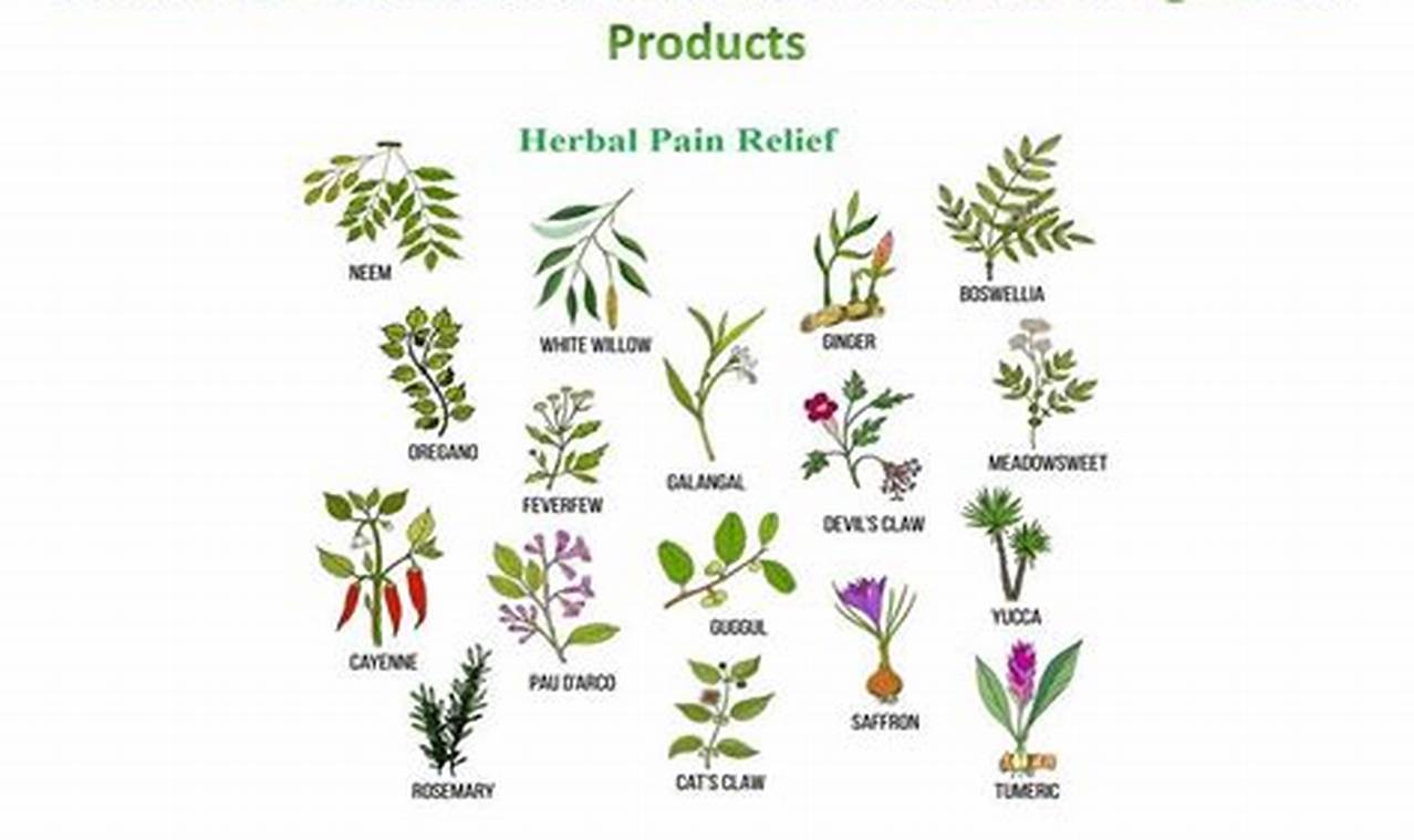 Natural Herbal Pain Medicine: Relief & Benefits The Ultimate Herbal Remedies Guide: Natural Healing for a Healthier Life Natural Herbal Pain Medicine: Relief & Benefits | The Ultimate Herbal Remedies Guide: Natural Healing for a Healthier Life
