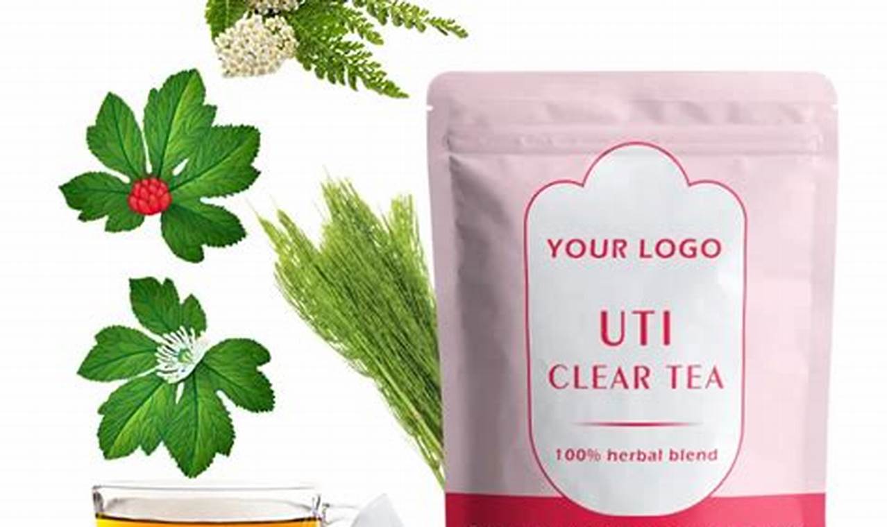 Natural Herbal Tea for Urinary Tract: Benefits & Uses The Ultimate Herbal Remedies Guide: Natural Healing for a Healthier Life Natural Herbal Tea for Urinary Tract: Benefits & Uses | The Ultimate Herbal Remedies Guide: Natural Healing for a Healthier Life