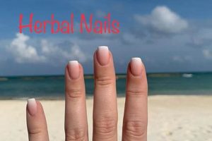 Herbal Nails Portsmouth: Natural Beauty for You The Ultimate Herbal Remedies Guide: Natural Healing for a Healthier Life Herbal Nails Portsmouth: Natural Beauty for You | The Ultimate Herbal Remedies Guide: Natural Healing for a Healthier Life