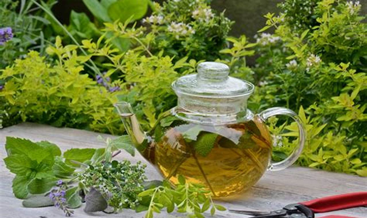Grow Best Herbal Tea Plants: Tips & Benefits The Ultimate Herbal Remedies Guide: Natural Healing for a Healthier Life Grow Best Herbal Tea Plants: Tips & Benefits | The Ultimate Herbal Remedies Guide: Natural Healing for a Healthier Life