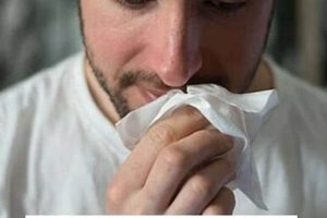 Best Herbal Teas for Allergies: Find Allergy Relief! The Ultimate Herbal Remedies Guide: Natural Healing for a Healthier Life Best Herbal Teas for Allergies: Find Allergy Relief! | The Ultimate Herbal Remedies Guide: Natural Healing for a Healthier Life