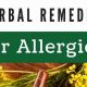 Best Herbal Remedy for Allergies: Relief Guide! | The Ultimate Herbal Remedies Guide: Natural Healing for a Healthier Life