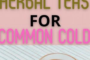 Top: Best Herbal Tea for Cold Relief (Herbalist's Pick) The Ultimate Herbal Remedies Guide: Natural Healing for a Healthier Life Top: Best Herbal Tea for Cold Relief (Herbalist's Pick) | The Ultimate Herbal Remedies Guide: Natural Healing for a Healthier Life