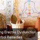 Natural Herbal Remedies for Impotence & ED: A Guide | The Ultimate Herbal Remedies Guide: Natural Healing for a Healthier Life