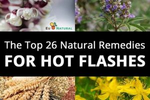 Natural Herbal Remedies for Hot Flushes Relief The Ultimate Herbal Remedies Guide: Natural Healing for a Healthier Life Natural Herbal Remedies for Hot Flushes Relief | The Ultimate Herbal Remedies Guide: Natural Healing for a Healthier Life