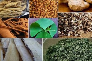 Natural Herbal Stimulants: Boost Energy & Focus The Ultimate Herbal Remedies Guide: Natural Healing for a Healthier Life Natural Herbal Stimulants: Boost Energy & Focus | The Ultimate Herbal Remedies Guide: Natural Healing for a Healthier Life