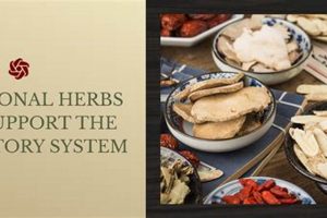 Best Flu Herbal Treatment: Natural Relief Now! The Ultimate Herbal Remedies Guide: Natural Healing for a Healthier Life Best Flu Herbal Treatment: Natural Relief Now! | The Ultimate Herbal Remedies Guide: Natural Healing for a Healthier Life