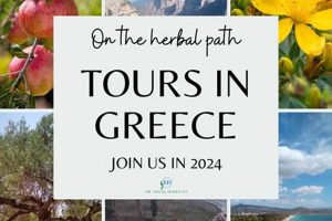 Exploring the Herbal Path: Your Botanical Guide The Ultimate Herbal Remedies Guide: Natural Healing for a Healthier Life Exploring the Herbal Path: Your Botanical Guide | The Ultimate Herbal Remedies Guide: Natural Healing for a Healthier Life