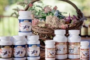 Canine Cancer Care: Herbal Treatment for Dogs +Support The Ultimate Herbal Remedies Guide: Natural Healing for a Healthier Life Canine Cancer Care: Herbal Treatment for Dogs +Support | The Ultimate Herbal Remedies Guide: Natural Healing for a Healthier Life