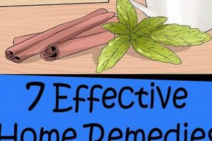 Natural Herbal Remedies for Vomiting: Quick Relief The Ultimate Herbal Remedies Guide: Natural Healing for a Healthier Life Natural Herbal Remedies for Vomiting: Quick Relief | The Ultimate Herbal Remedies Guide: Natural Healing for a Healthier Life
