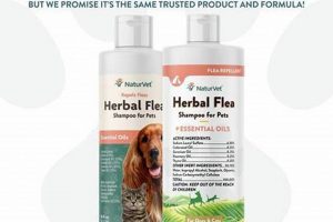 Natural Herbal Flea Shampoo for Dogs: Gentle & Effective! The Ultimate Herbal Remedies Guide: Natural Healing for a Healthier Life Natural Herbal Flea Shampoo for Dogs: Gentle & Effective! | The Ultimate Herbal Remedies Guide: Natural Healing for a Healthier Life