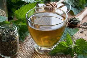 Discover Nettle Herbal Tea Benefits + Recipes The Ultimate Herbal Remedies Guide: Natural Healing for a Healthier Life Discover Nettle Herbal Tea Benefits + Recipes | The Ultimate Herbal Remedies Guide: Natural Healing for a Healthier Life
