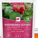 Best Herbal Raspberry Tea: Benefits & Recipes | The Ultimate Herbal Remedies Guide: Natural Healing for a Healthier Life