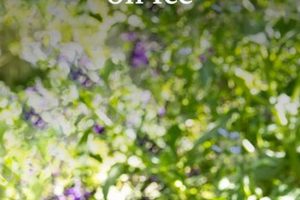 Top Picks: Best Herbal Tea for Iced Tea This Summer! The Ultimate Herbal Remedies Guide: Natural Healing for a Healthier Life Top Picks: Best Herbal Tea for Iced Tea This Summer! | The Ultimate Herbal Remedies Guide: Natural Healing for a Healthier Life