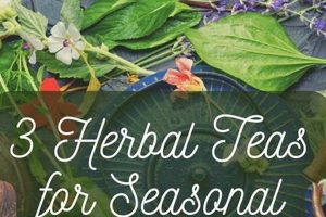 Natural Herbal Medicines for Allergy Relief Today The Ultimate Herbal Remedies Guide: Natural Healing for a Healthier Life Natural Herbal Medicines for Allergy Relief Today | The Ultimate Herbal Remedies Guide: Natural Healing for a Healthier Life