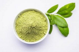 Best Herbal Powder Blends: Boost Your Health Naturally The Ultimate Herbal Remedies Guide: Natural Healing for a Healthier Life Best Herbal Powder Blends: Boost Your Health Naturally | The Ultimate Herbal Remedies Guide: Natural Healing for a Healthier Life