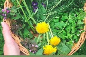 Learn Herbalism: Your Free Herbalism Course Guide The Ultimate Herbal Remedies Guide: Natural Healing for a Healthier Life Learn Herbalism: Your Free Herbalism Course Guide | The Ultimate Herbal Remedies Guide: Natural Healing for a Healthier Life