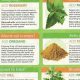 Guide: Herbal Medicine List & Uses PDF - Benefits & Risks | The Ultimate Herbal Remedies Guide: Natural Healing for a Healthier Life