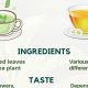 The Tea Truth: Is Green Tea Actually Herbal Tea? | The Ultimate Herbal Remedies Guide: Natural Healing for a Healthier Life