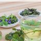 Best of the Best: Top Herbal Tea Brands in 2024 | The Ultimate Herbal Remedies Guide: Natural Healing for a Healthier Life