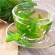 Best Herbal Mint Tea: Benefits &amp; Recipes [Guide] | The Ultimate Herbal Remedies Guide: Natural Healing for a Healthier Life
