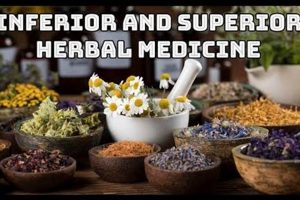 Unlock the Power: Superior Herbal Medicine & You The Ultimate Herbal Remedies Guide: Natural Healing for a Healthier Life Unlock the Power: Superior Herbal Medicine & You | The Ultimate Herbal Remedies Guide: Natural Healing for a Healthier Life