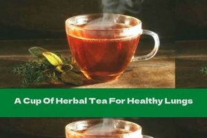 Breathe Easy: Herbal Tea for Lung Health & Wellness The Ultimate Herbal Remedies Guide: Natural Healing for a Healthier Life Breathe Easy: Herbal Tea for Lung Health & Wellness | The Ultimate Herbal Remedies Guide: Natural Healing for a Healthier Life