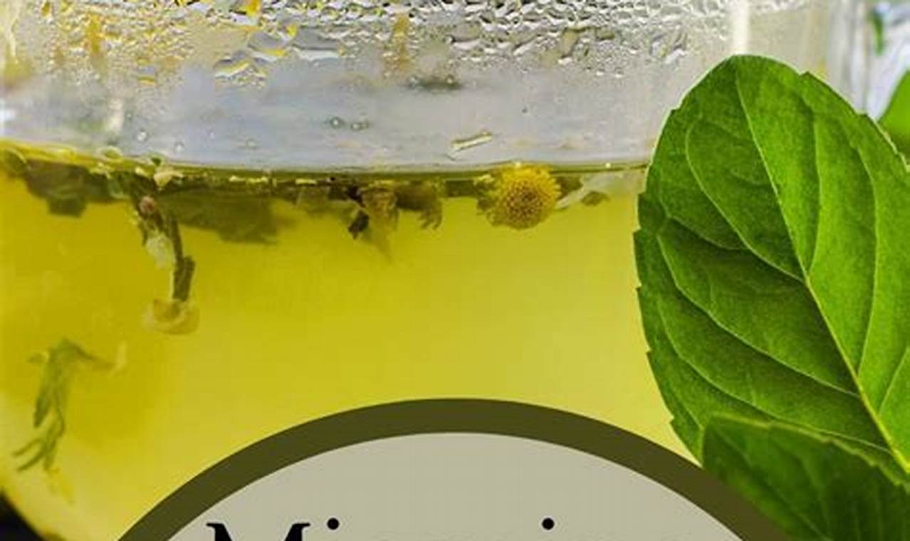Natural Herbal Supplements for Migraines Relief Now The Ultimate Herbal Remedies Guide: Natural Healing for a Healthier Life Natural Herbal Supplements for Migraines Relief Now | The Ultimate Herbal Remedies Guide: Natural Healing for a Healthier Life