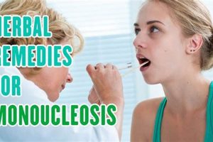 Natural Mononucleosis Herbal Remedies Guide The Ultimate Herbal Remedies Guide: Natural Healing for a Healthier Life Natural Mononucleosis Herbal Remedies Guide | The Ultimate Herbal Remedies Guide: Natural Healing for a Healthier Life