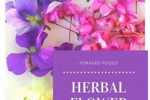 The Herbal Recipes Book Guide: Natural Remedies! The Ultimate Herbal Remedies Guide: Natural Healing for a Healthier Life The Herbal Recipes Book Guide: Natural Remedies! | The Ultimate Herbal Remedies Guide: Natural Healing for a Healthier Life