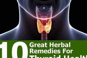 Natural Relief: Herbal Remedies for Overactive Thyroid Guide The Ultimate Herbal Remedies Guide: Natural Healing for a Healthier Life Natural Relief: Herbal Remedies for Overactive Thyroid Guide | The Ultimate Herbal Remedies Guide: Natural Healing for a Healthier Life