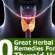 Natural Relief: Herbal Remedies for Overactive Thyroid Guide | The Ultimate Herbal Remedies Guide: Natural Healing for a Healthier Life
