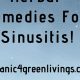 Natural Chronic Sinusitis Herbal Treatment Guide | The Ultimate Herbal Remedies Guide: Natural Healing for a Healthier Life