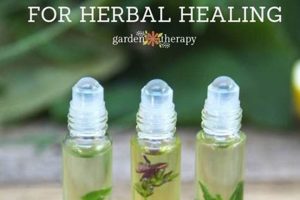 Your Guide to Herbal Rolls: Blends, Effects & More! The Ultimate Herbal Remedies Guide: Natural Healing for a Healthier Life Your Guide to Herbal Rolls: Blends, Effects & More! | The Ultimate Herbal Remedies Guide: Natural Healing for a Healthier Life