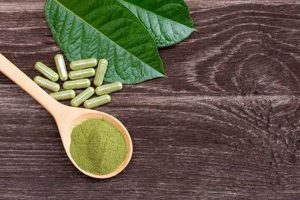 Buy Kratom Supplements Herbal | Your Guide The Ultimate Herbal Remedies Guide: Natural Healing for a Healthier Life Buy Kratom Supplements Herbal | Your Guide | The Ultimate Herbal Remedies Guide: Natural Healing for a Healthier Life