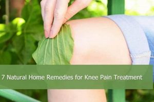 Natural Herbal Treatment for Knee Arthritis Relief Now! The Ultimate Herbal Remedies Guide: Natural Healing for a Healthier Life Natural Herbal Treatment for Knee Arthritis Relief Now! | The Ultimate Herbal Remedies Guide: Natural Healing for a Healthier Life