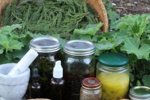 Exploring Elements Herbal: Nature's Wellness The Ultimate Herbal Remedies Guide: Natural Healing for a Healthier Life Exploring Elements Herbal: Nature's Wellness | The Ultimate Herbal Remedies Guide: Natural Healing for a Healthier Life