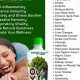 Buy Intl Herbal Products Online - Herbal Goodness | The Ultimate Herbal Remedies Guide: Natural Healing for a Healthier Life