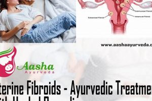 Natural Herbal Remedies for Uterine Fibroids: A Guide The Ultimate Herbal Remedies Guide: Natural Healing for a Healthier Life Natural Herbal Remedies for Uterine Fibroids: A Guide | The Ultimate Herbal Remedies Guide: Natural Healing for a Healthier Life