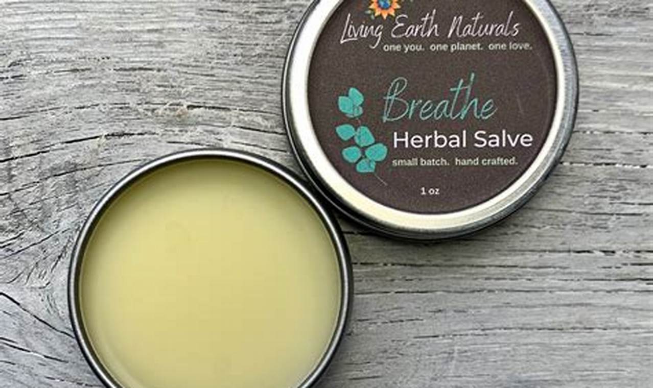 Best Herbal Salve: Your Natural Skin Healer The Ultimate Herbal Remedies Guide: Natural Healing for a Healthier Life Best Herbal Salve: Your Natural Skin Healer | The Ultimate Herbal Remedies Guide: Natural Healing for a Healthier Life