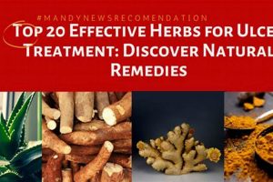 Natural Herbal Ulcer Treatment: Relief & Remedies The Ultimate Herbal Remedies Guide: Natural Healing for a Healthier Life Natural Herbal Ulcer Treatment: Relief & Remedies | The Ultimate Herbal Remedies Guide: Natural Healing for a Healthier Life