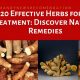 Natural Herbal Ulcer Treatment: Relief &amp; Remedies | The Ultimate Herbal Remedies Guide: Natural Healing for a Healthier Life