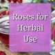Unlock Rose Herbal Uses: Beauty & Wellness | The Ultimate Herbal Remedies Guide: Natural Healing for a Healthier Life
