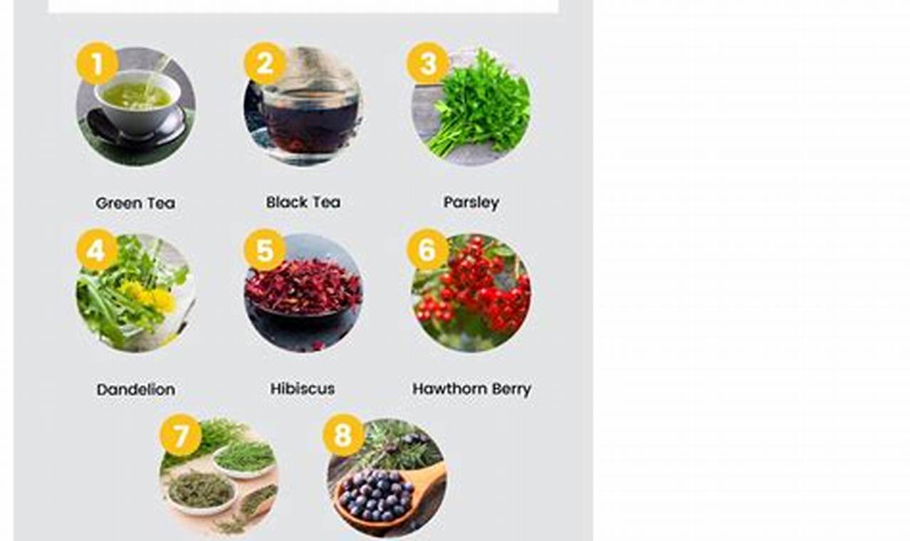 Do Herbal Teas Act As Diuretics? Benefits & Risks The Ultimate Herbal Remedies Guide: Natural Healing for a Healthier Life Do Herbal Teas Act As Diuretics? Benefits & Risks | The Ultimate Herbal Remedies Guide: Natural Healing for a Healthier Life